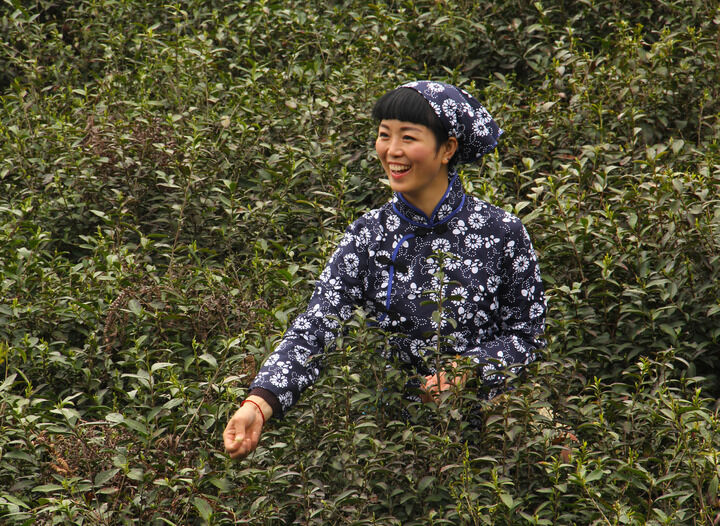 百丽直播 热门10